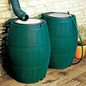 Rain Barrel