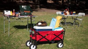 Best Folding Wagon - Best Home Gear