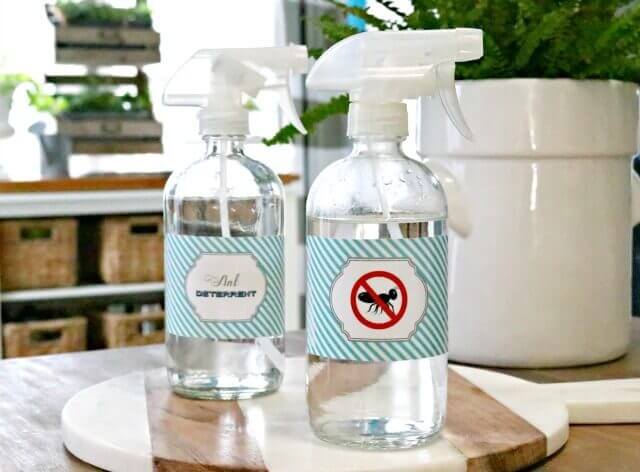 besthomegear.com DIY Natural Ant Spray | Best Home Gear