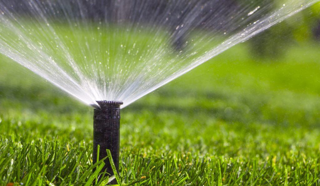 irrigated new lawn | Best Home Gear