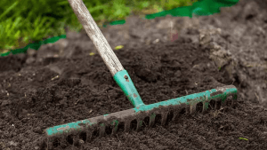 Raking Grass Seed - Best Home Gear 