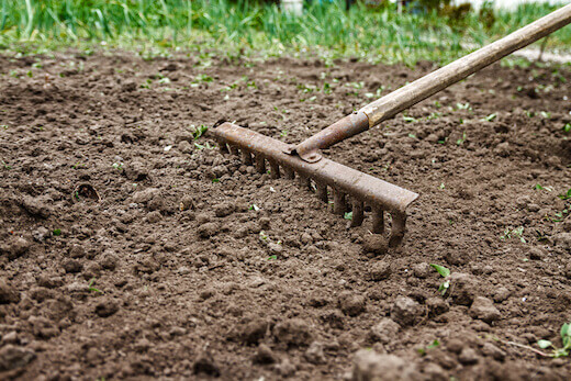 Raking Grass Seed into the soil