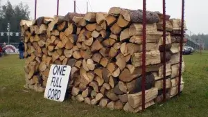 How Much Is a Cord Of Wood | Best Home Gear