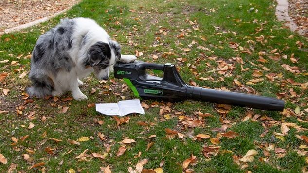 How To Use A Cordless Leaf Blower - Besthomegear.com