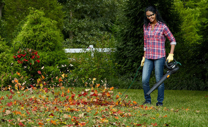 Using leaf blower for lawn - Best Home Gear