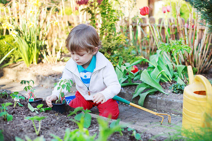 besthomegear.com Vegetable Garden for Kids - Best Home Gear