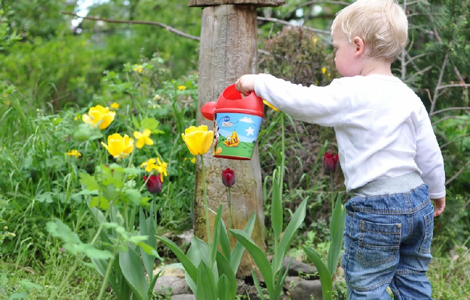 Courtesy Univ of New Hampshire - besthomegear.com flower garden kids - best home gear
