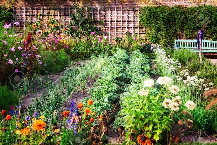 flower and vegetable garden for kids - best home gear
