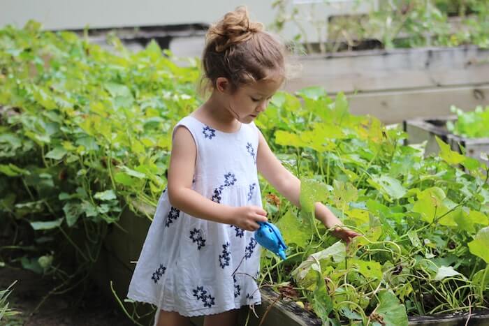 besthomegear.com Gardening With Kids - Best Home Gear