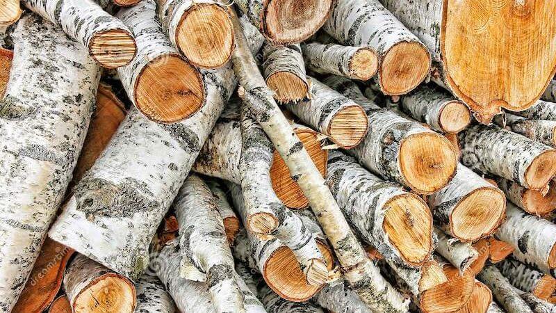 Photo Birch Firewood - Best Home Gear