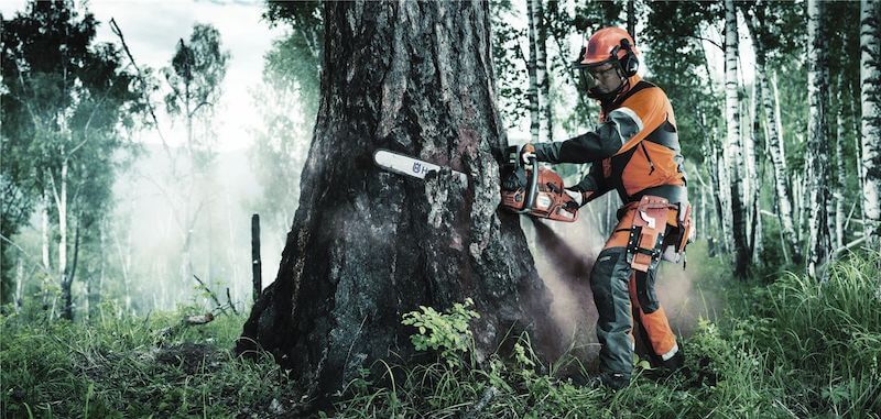 Personal Protection Equipment Using Chainsaw - Best Home Gear
