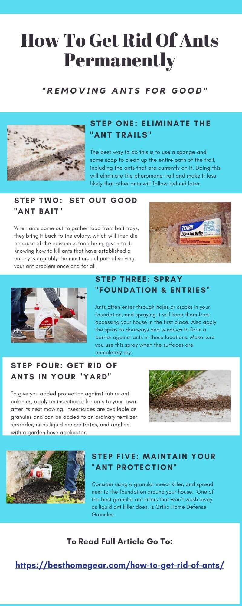 How To Get Rid of Ants - Best Home Gear