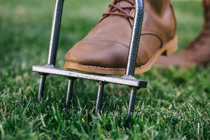manual lawn aerator