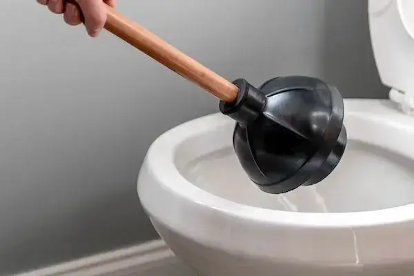 Using toilet plunger - best home gear