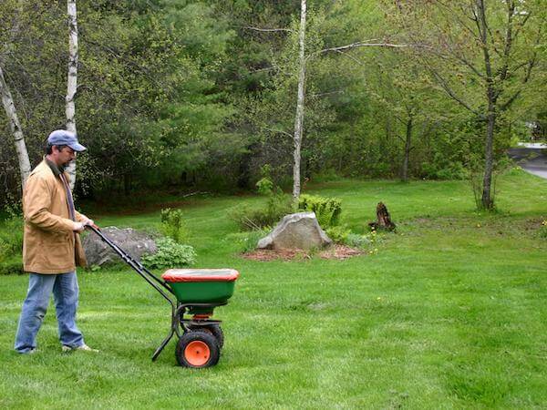 Best Fall Fertilizer - Best Home Gear