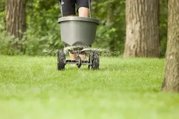Best Fertilizer for Summer - Best Home Gear