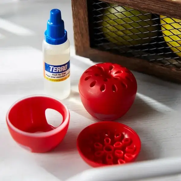 Image of a Terro Fruit Fly Trap - Best Home Gear