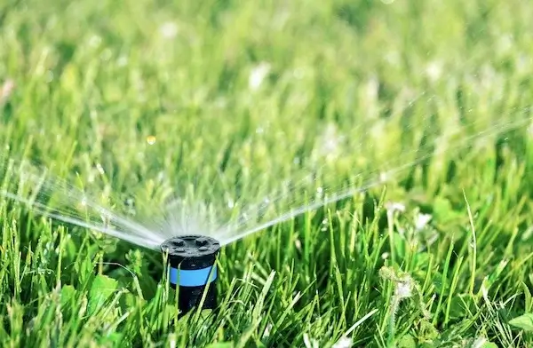 Underground Sprinkler Head - Image