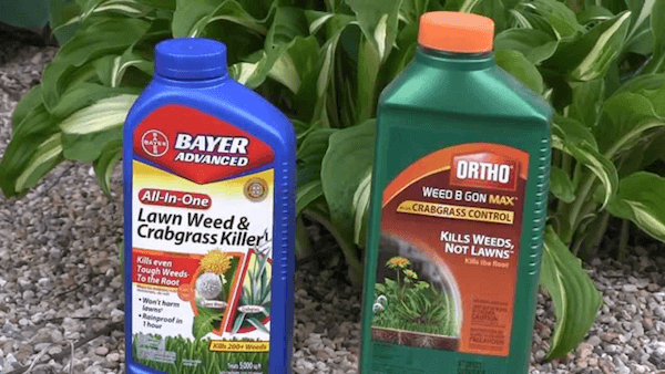 ortho weed killer image