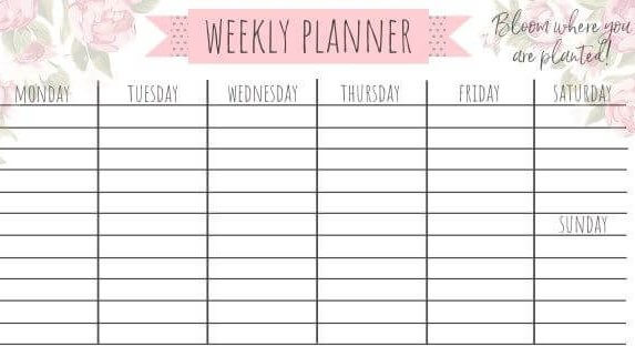 Monthly Cleaning Schedule