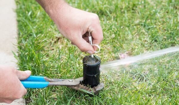 Cleaning underground Sprinkler system Head