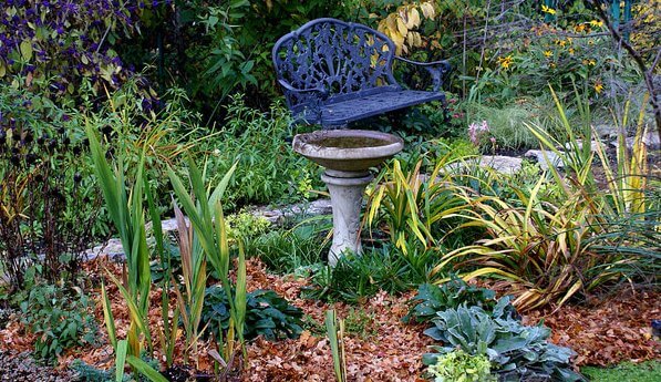 leafy litter in garden area