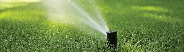 image of a rotary sprinkler system head