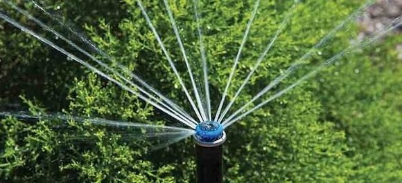Pop up spray head image - best home gear