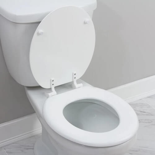 Image of a Standard Toilet Seat