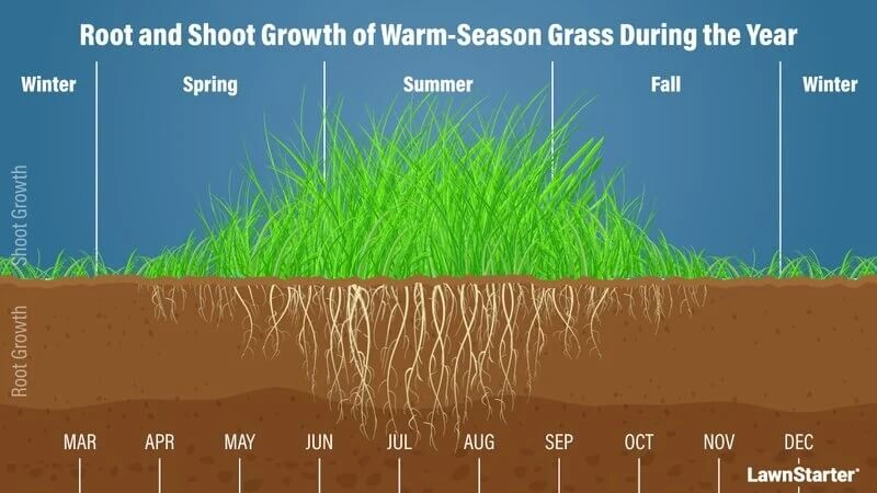 Grass Growing Chart - lawnstarter.com