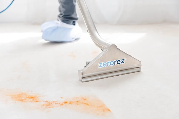 Is Hiring a Carpet Cleaner Worth it?